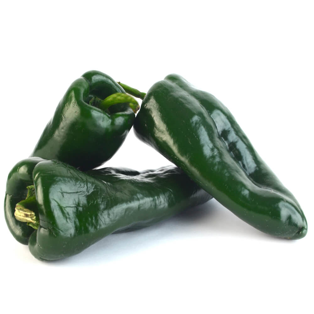CHILE POBLANO
