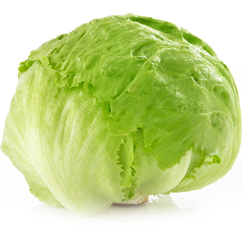 Lechuga romana 