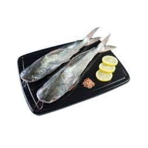 Pescado de bagre