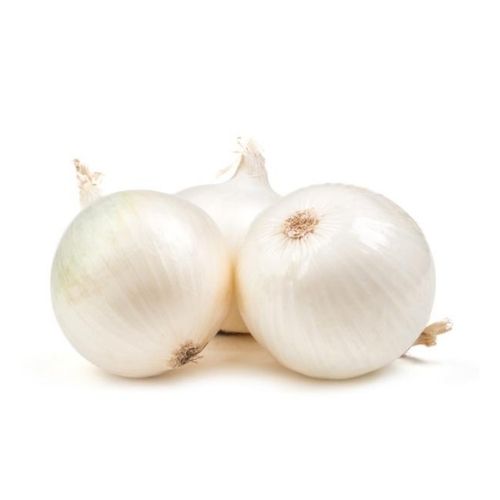 Cebolla blanca sin rabo
