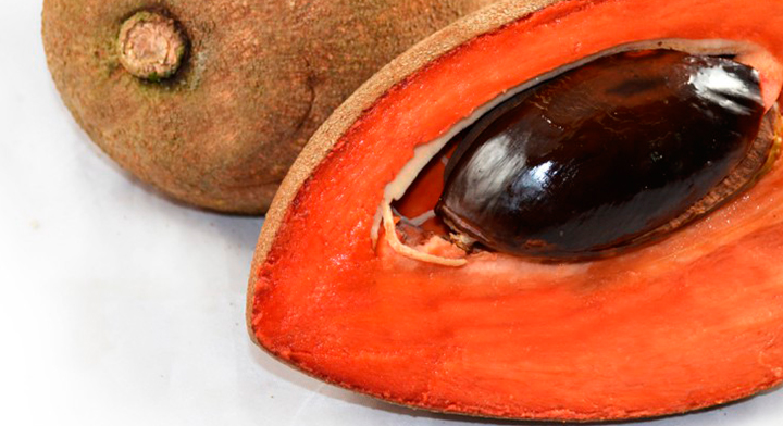 MAMEY