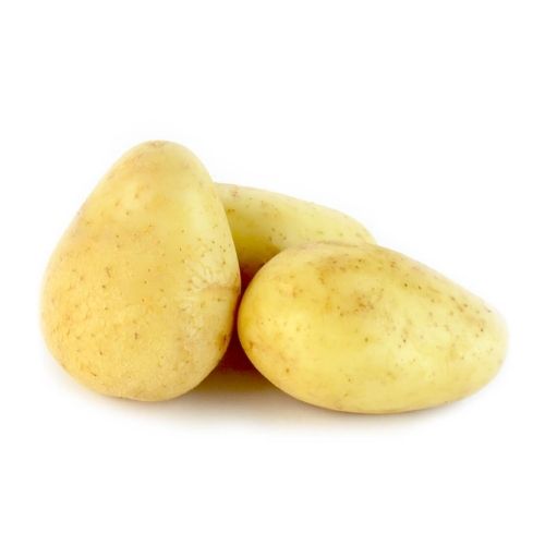 Papa blanca mediana