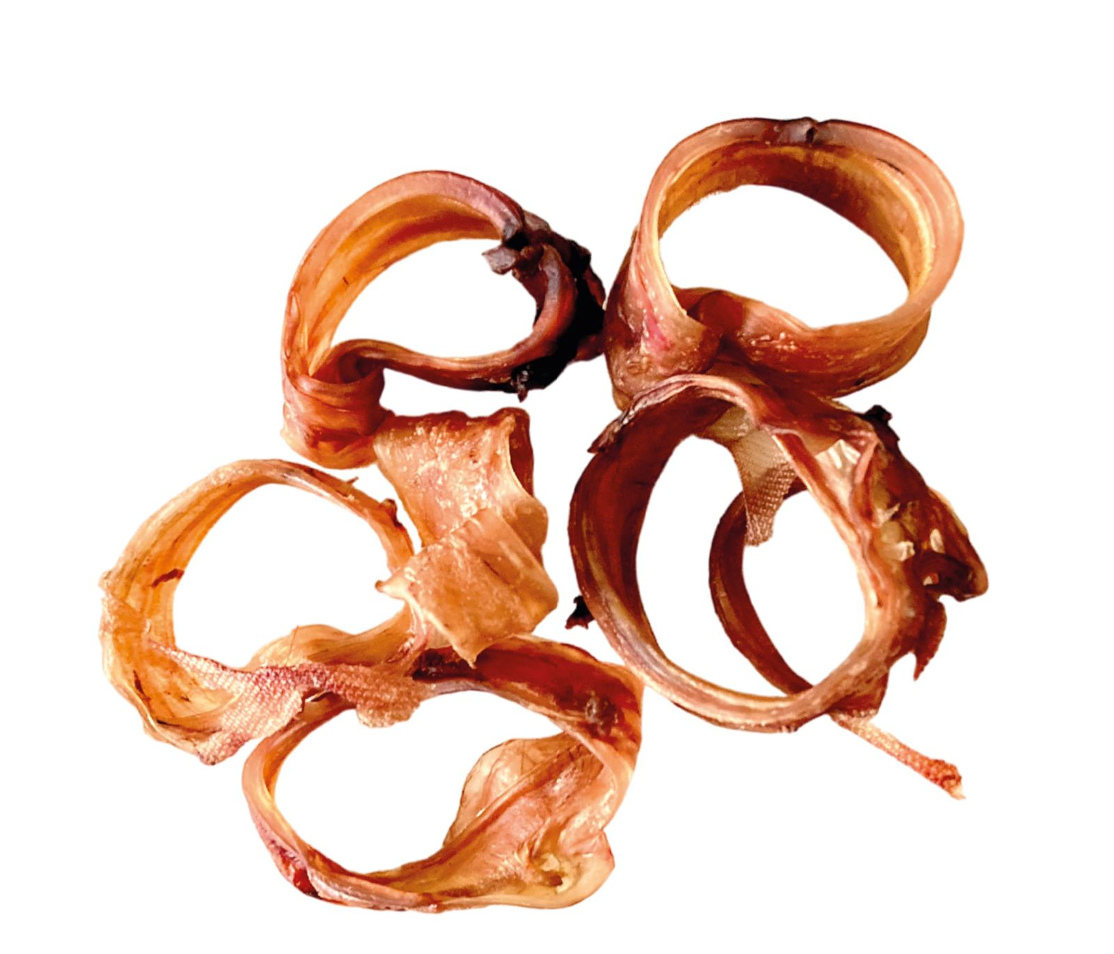 snacks para mascota (tráquea de res)